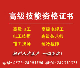 高级证1