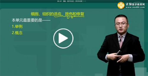 执业医师培训